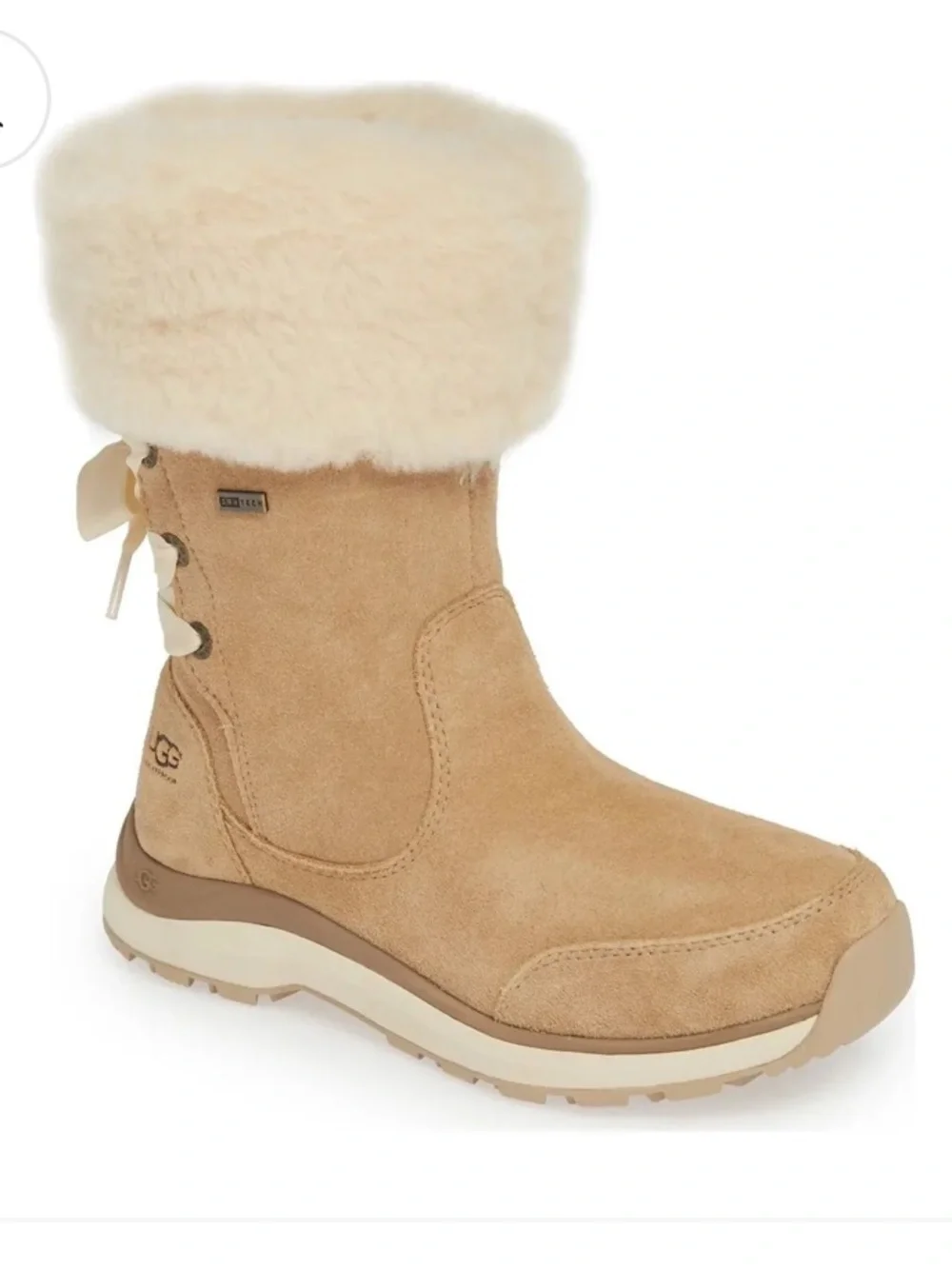 UGG women ingalls